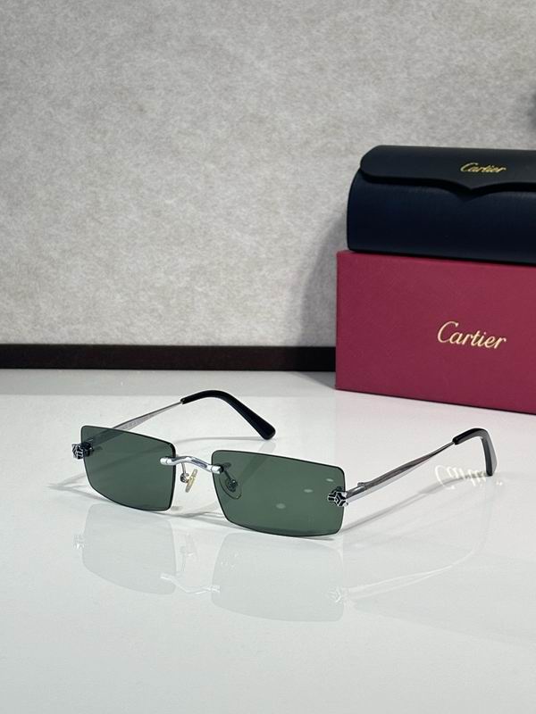 Cartier Glasses smr41